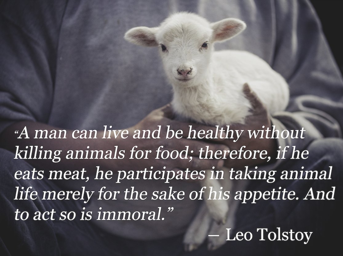 8 Amazing Quotes That Might Just Convert You To Vegetarianism | HuffPost UK