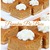 Pumpkin Pie Bars