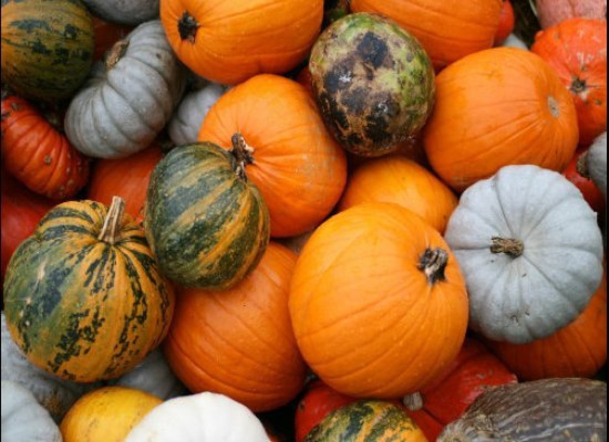Top 10 Harvest Festivals Around the World HuffPost