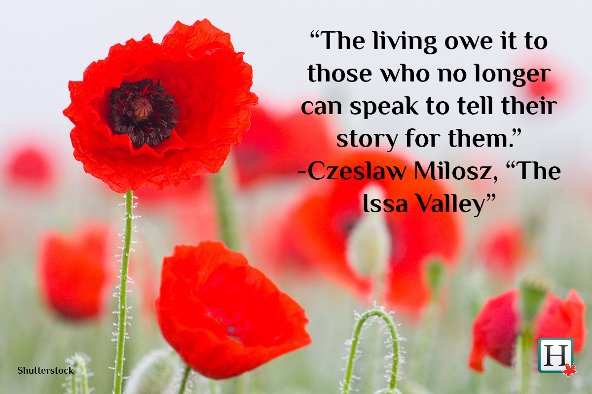 remembrance-day-quotes-words-to-honour-veterans