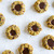Chocolate Fudge Pistachio Thumbprint Cookies