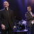Pitbull