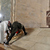 Pope Francis visits Anitkabir in Turkey