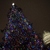 Christmas Tree at the U.S. Capitol