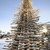 A Tree Made Of Recycled Wood in Rakvere