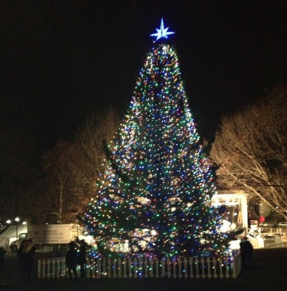 Top 10 Iconic Christmas Trees and Their Roots HuffPost