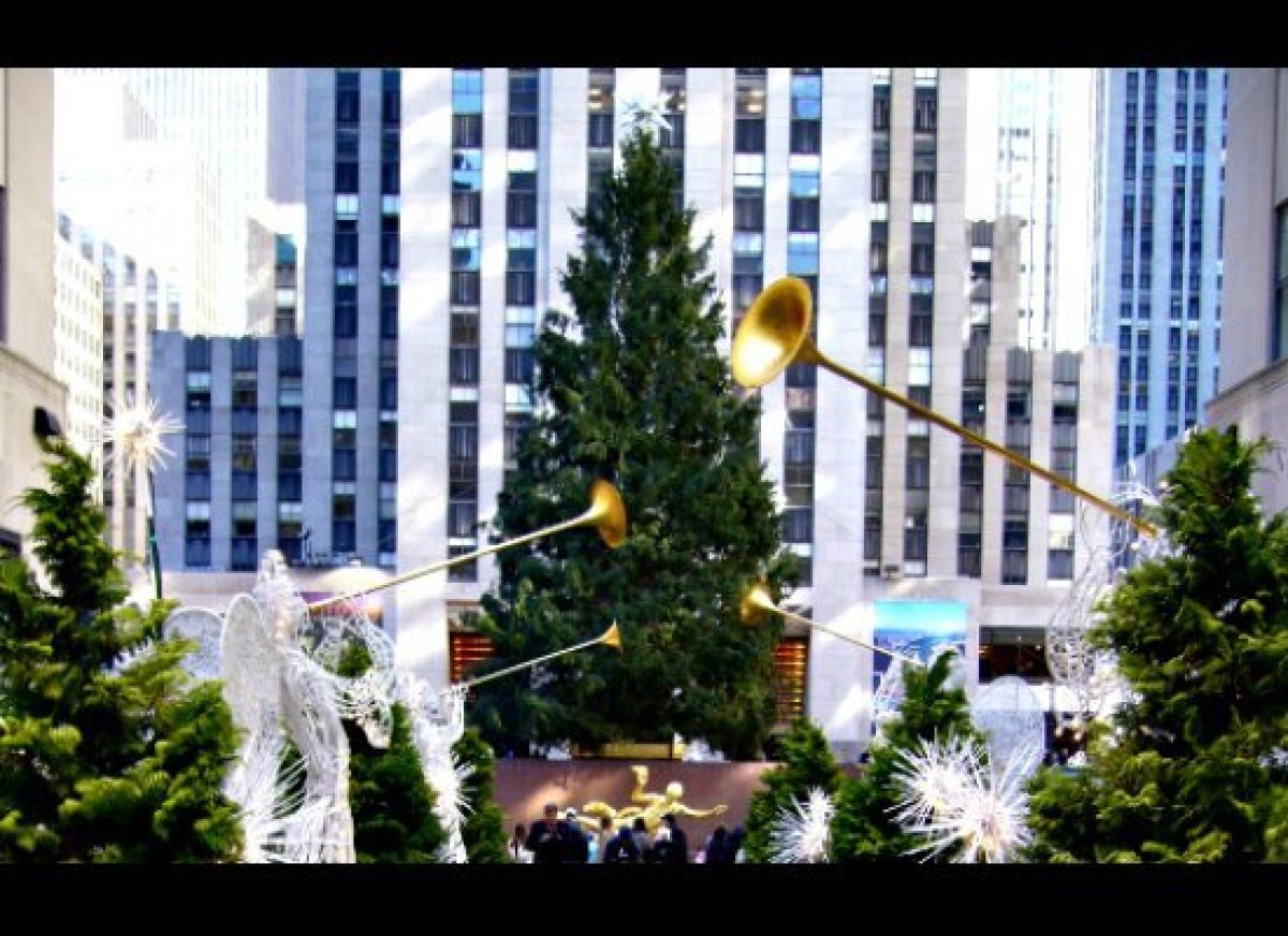 Top 10 Iconic Christmas Trees And Their Roots HuffPost