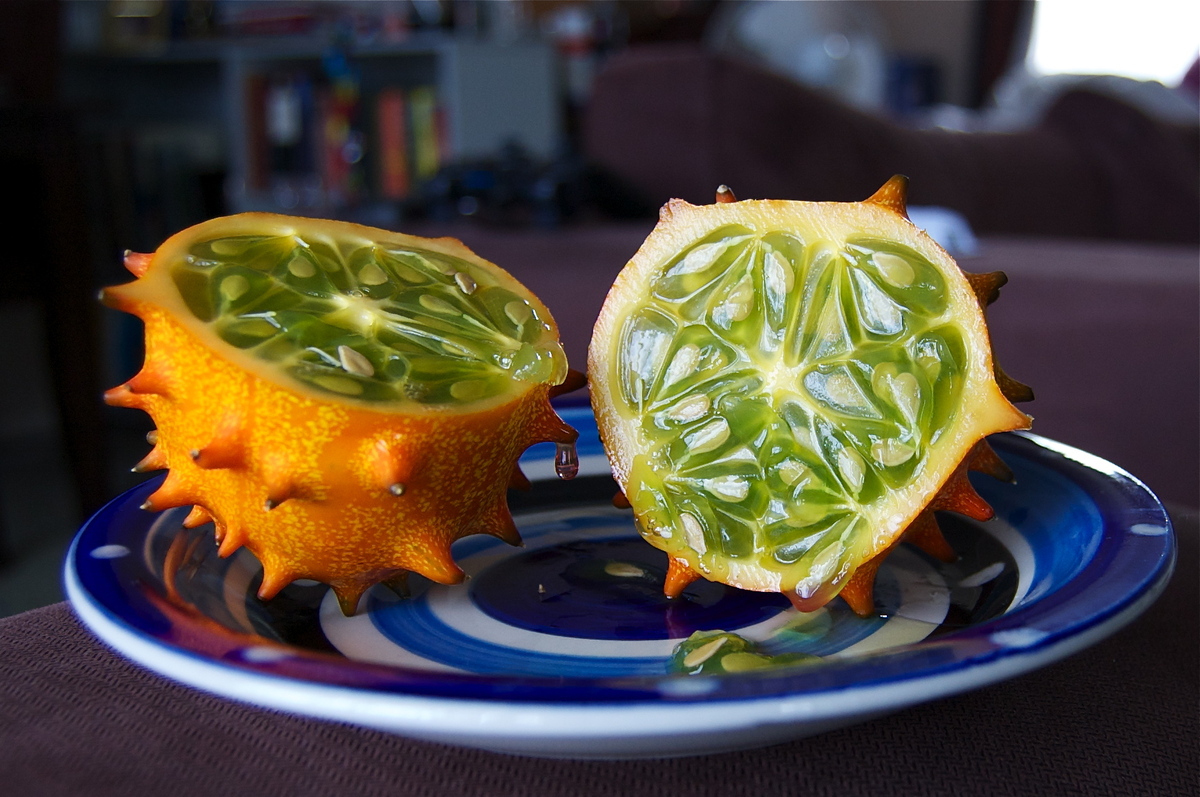 10-strange-looking-foods-you-ve-probably-never-tasted-and-why-you