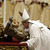 Christmas-Photo Gallery