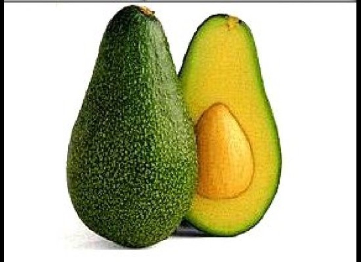 Foods That Look Like Genitalia HuffPost