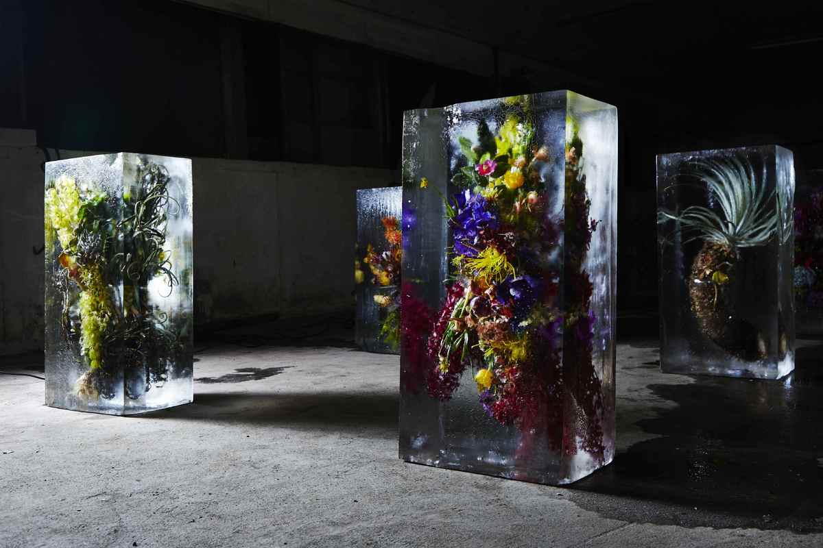 This Is What Happens When You Encase Flowers In Giant Cubes Of Ice