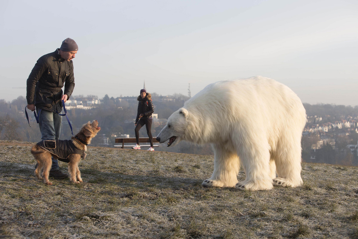 giant-polar-bear-spotted-in-london-but-there-s-no-need-to-panic