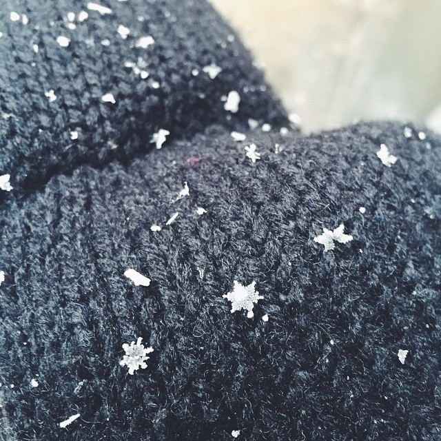 These Are The StarShaped Snowflakes That Fell All Over