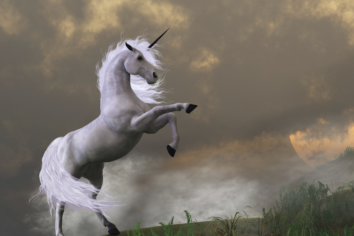 13 Stock Images Of Unicorns That Will Blind You With Majesty HuffPost