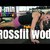 Sarah Fit TV