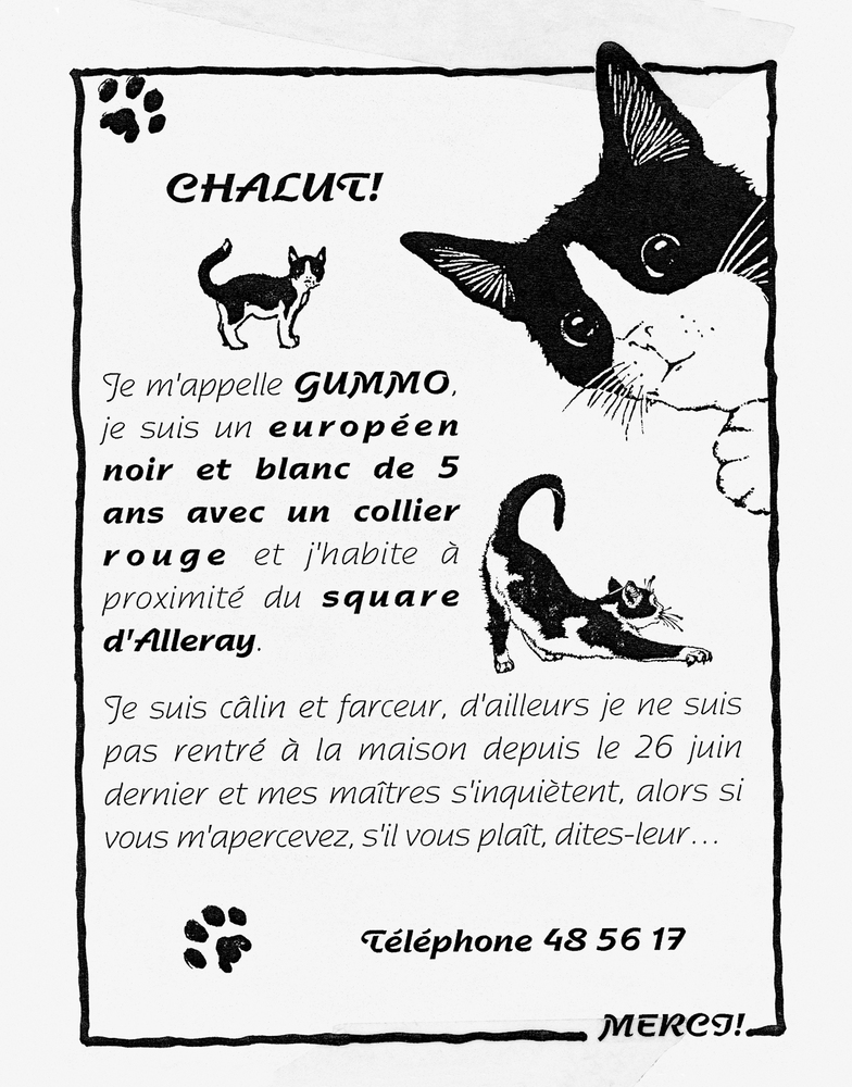 Examining The All Too Overlooked Art Of The Lost Pet Poster | HuffPost