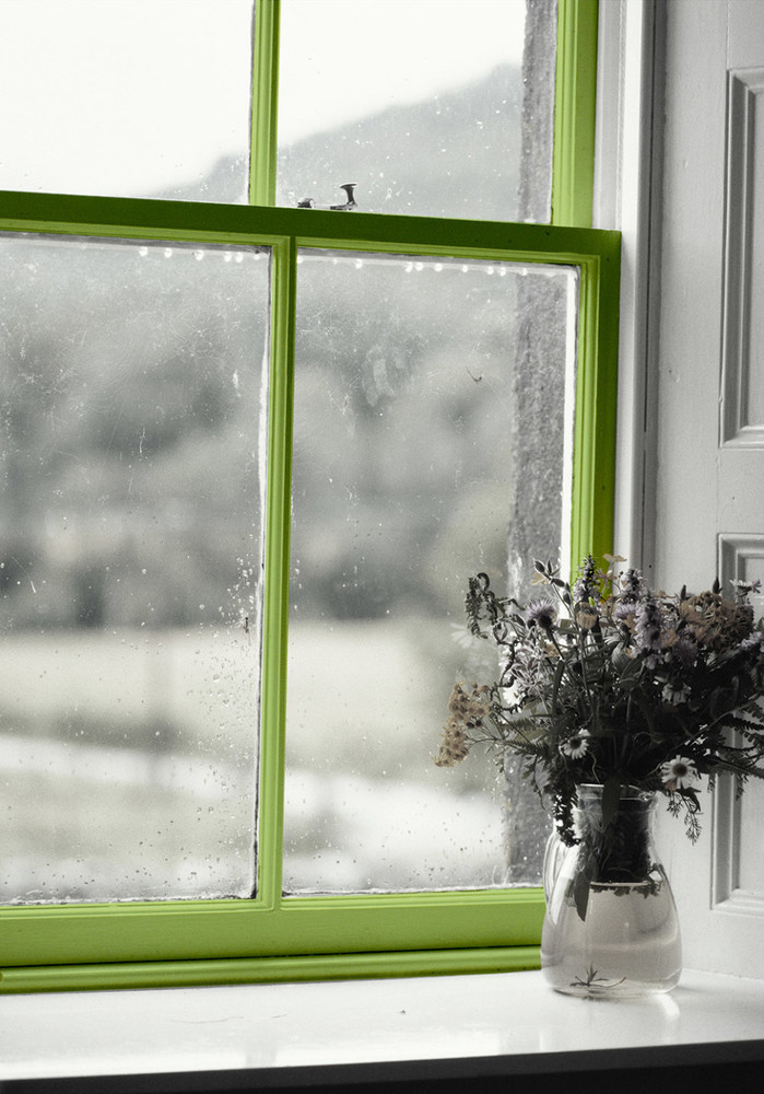 What Does Mold Smell Like >> 7 Germ Havens You Probably Forgot To Clean | HuffPost What Does Mold Smell Like >> 7 Germ Havens You Probably Forgot To Clean | HuffPost