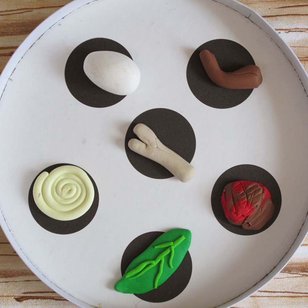 15 DIY Passover Seder Plates Your Kids Will Love To Make HuffPost