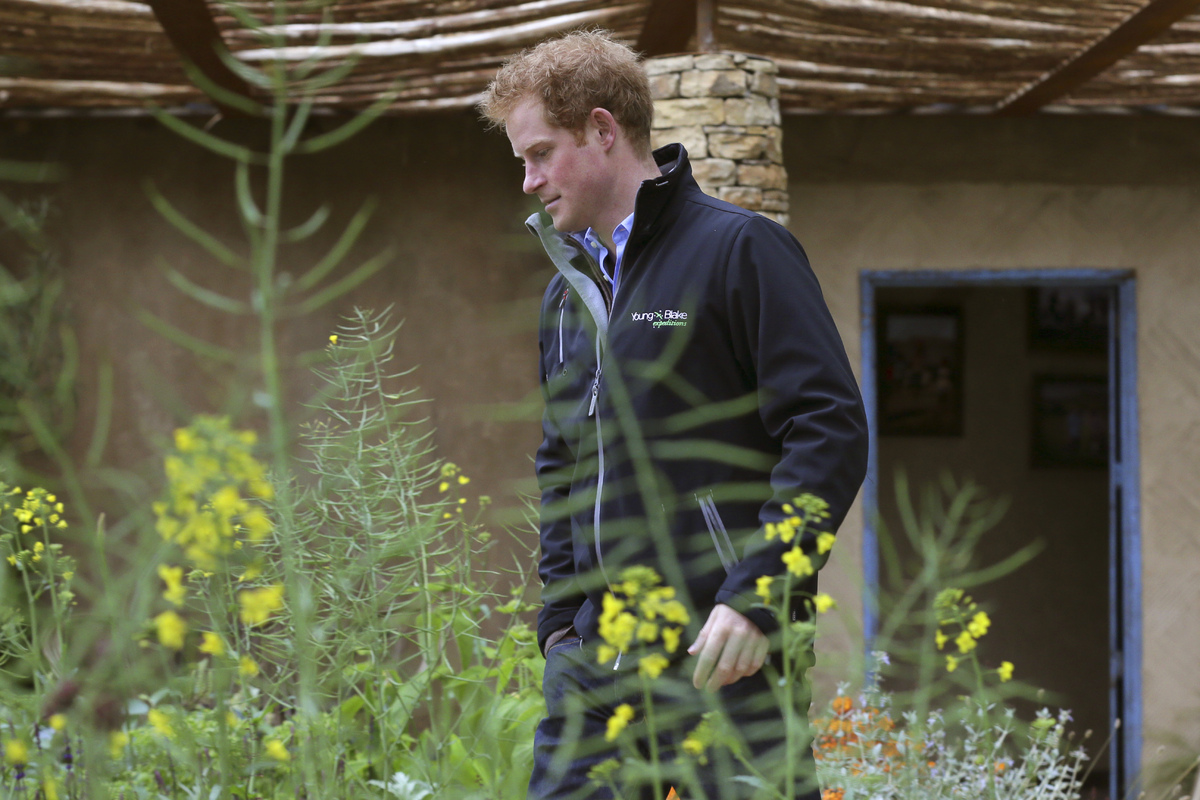 Chelsea Flower Show RHS Opening Times, Ticket Prices, Pictures And