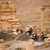 Palmyra