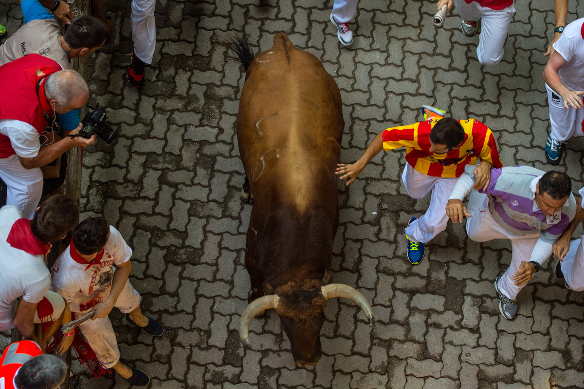 the pamplona bull run danger bull s Play the extreme pamplona game a running bull is chasing you through the streets of europe 1-2-3-go it's the yearly 'running of the bulls' in the spanish city of. the pamplona bull run danger bull s Play the extreme pamplona game a running bull is chasing you through the streets of europe 1-2-3-go it's the yearly 'running of the bulls' in the spanish city of.