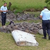 Missing Malaysia Plane