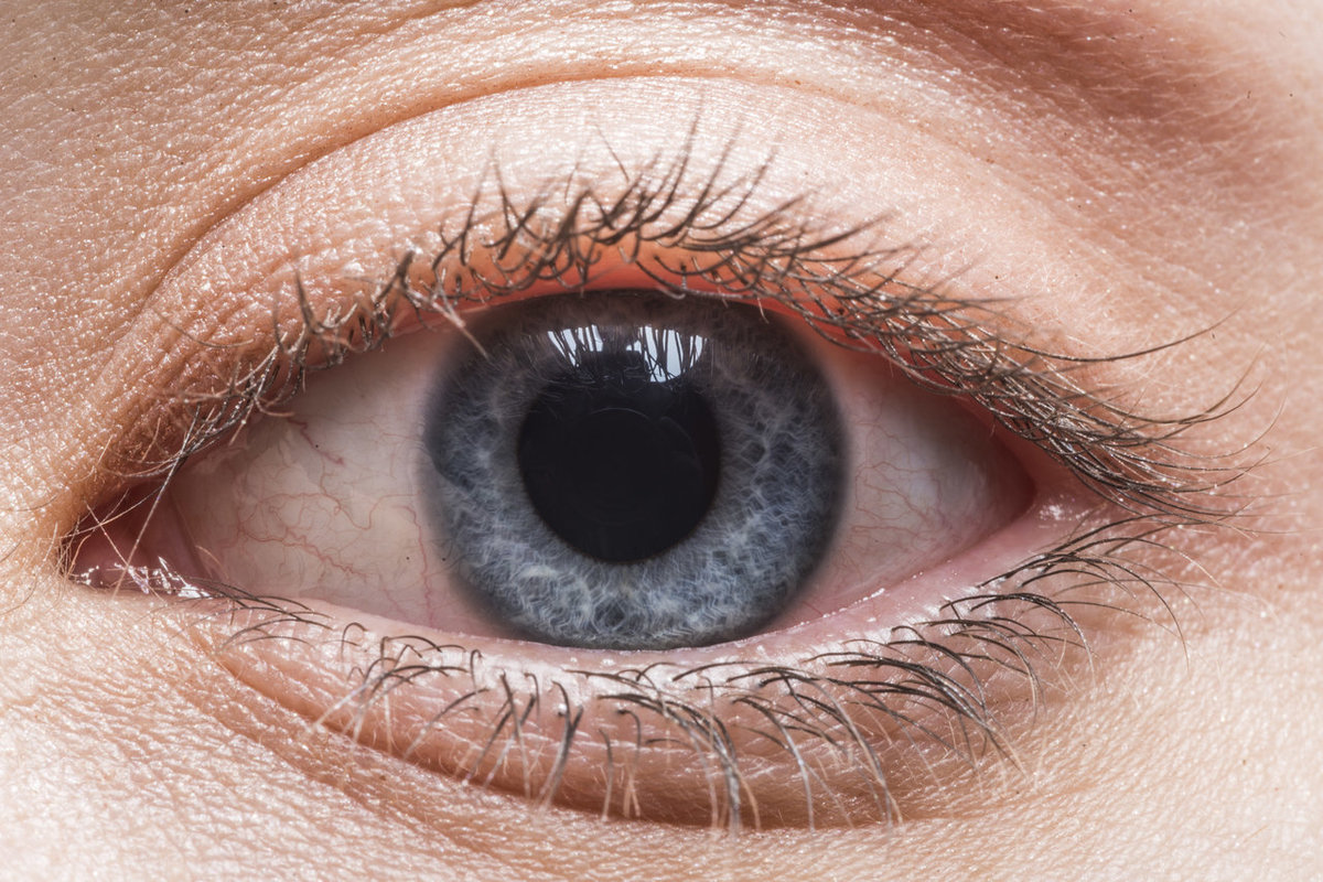 Estos primerísimos planos muestran la increíble diversidad del ojo humano