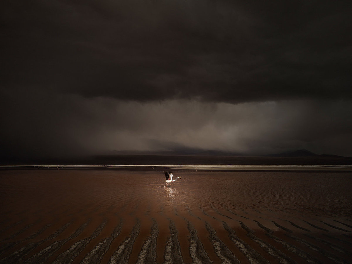 Ricardo Da Cunha/The International Landscape Photographer of the Year