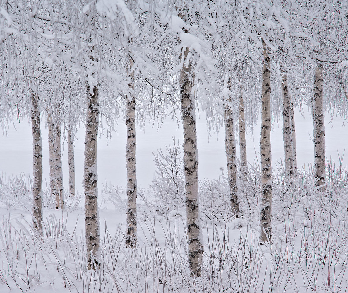 Jon Martin/The International Landscape Photographer of the Year