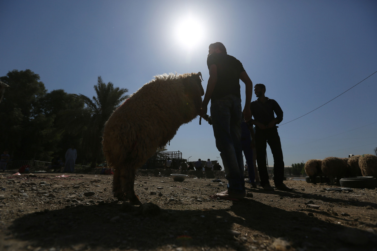 En photos: les musulmans à travers le monde célèbrent Aïd El Adha 8