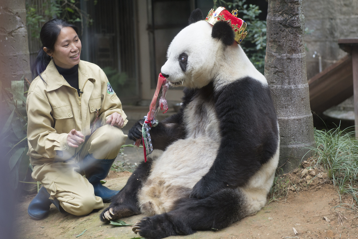 Pictures Of The Day: The Best Images From Around The World On Monday