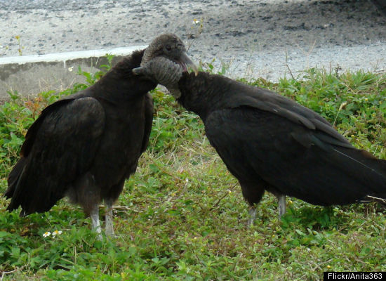 slide_4722_65424_large.jpg