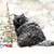 Fluffy black cat sitting in falling snow
