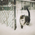 Cat in the snow
