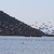 Σμήνος φλαμίνγκο στη λιμνοθάλασσα της Ροδιάς