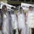 Mideast Lebanon Rape Law