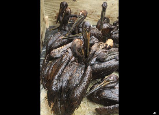 external image slide_6569_97181_large.jpg?1275967543291