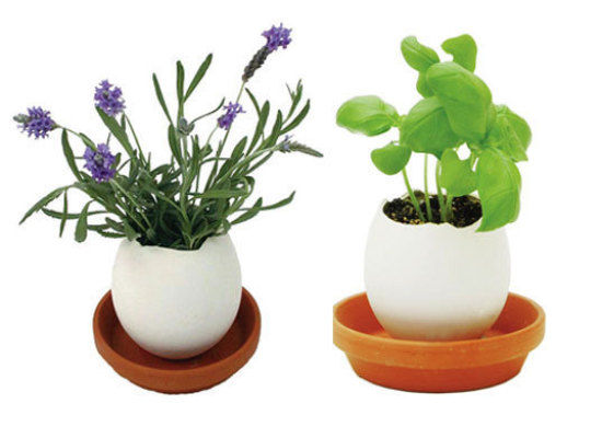 EGGLING – $12