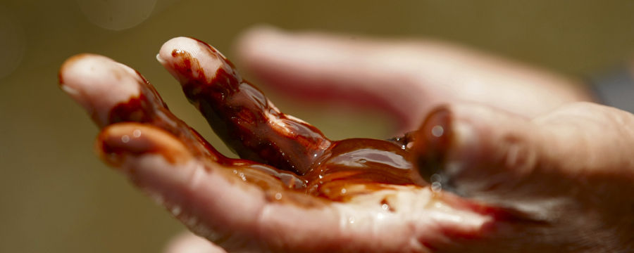 BP SPill | Huffington Post