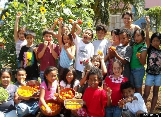 Kihei Elementary School Garden Starts Its Second Year! | South Maui