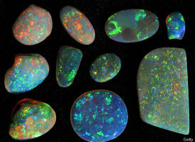 Black Opal
