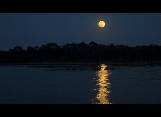 Cinco de Mayo Moon