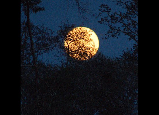 Super Moon