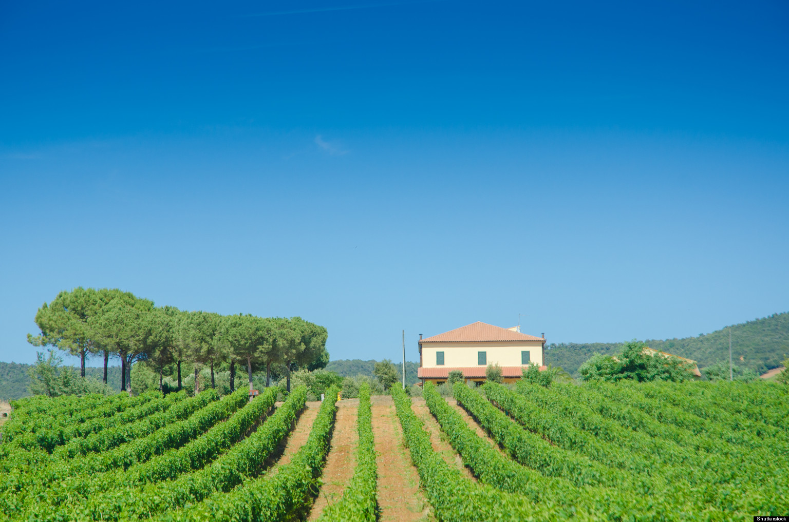 The Best Places To Eat And The Best Wines To Drink In Spain HuffPost