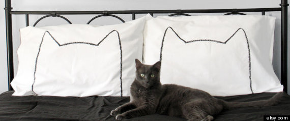 Catpillowcase