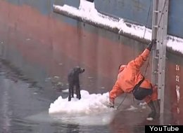 WATCH: Fishermen Rescue Dog Stranded On Ice