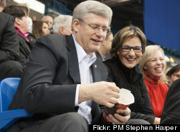 LOOK: Harper Loves Timmies ... Again