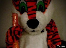 Wanted: 1 Pot Smoking Tiger Mascot
