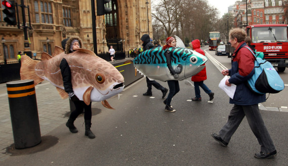 Pictures Of The Day: 25th February 2013 | HuffPost UK