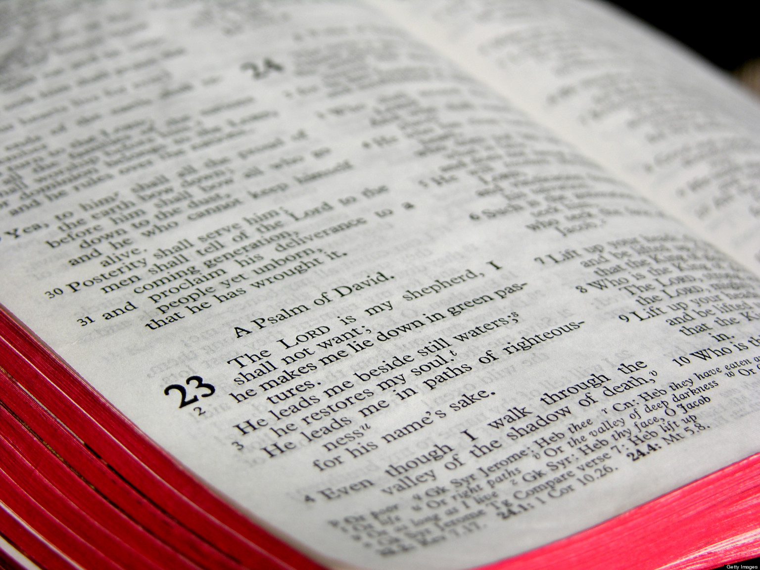 Recovering Green Pastures, Rediscovering Psalm 23 | HuffPost